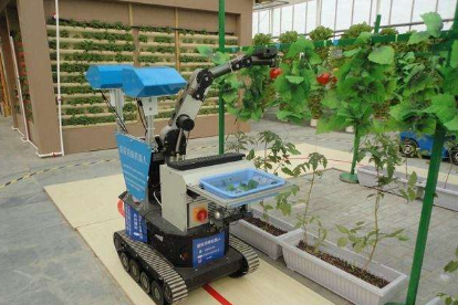 Agricultural Application