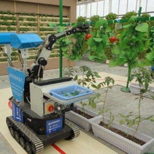 Application of industrial cameras in agriculture