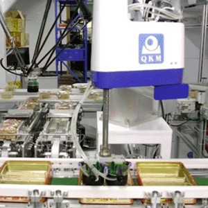 Application of industrial cameras in medicine and food sorting