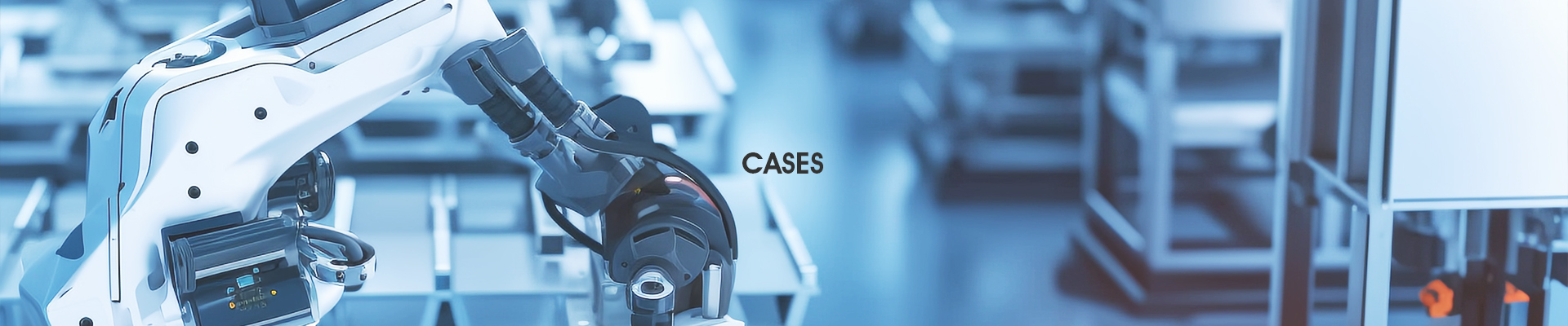 Cases